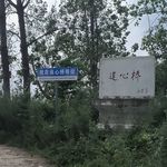 鱼象元