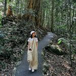 十六_1616