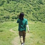 爱丽丝琴