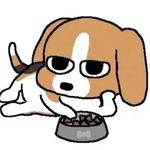 温丝黛
