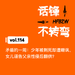 114、矛盾的一周：少年被刺死却遭嘲讽、女儿诬告父亲性侵后翻供？