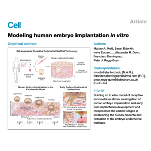 415-Modeling Human Embryo Implantation In Vitro
