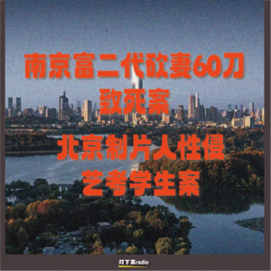 南京富二代砍妻60刀致死案｜北京制片人性侵艺考学生案