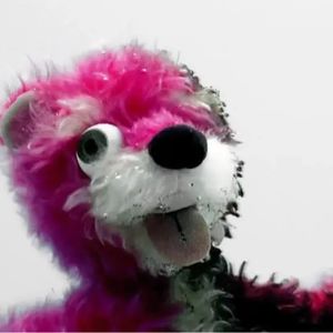 石瑞盛开的地方