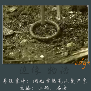 60.大年初一的悬赏令:湖北宣恩荒山焚尸案