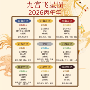 Vol.42 丙午年九宫飞星布局方案与理论溯源