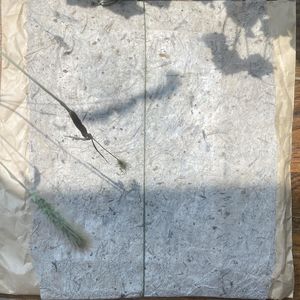 398 现实是未完成的幻想