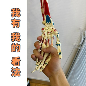 02. NBA文字直播-手速怎么会这么快（中）