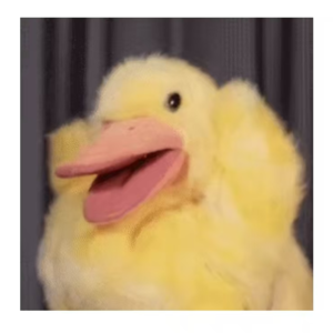 vol.1 - i人律师寻找自己独特的灵魂