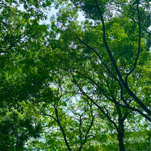 EP14他骑车摔进公交车底,醒来第一句话是:车还能修吗?