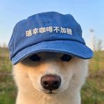 瑞幸咖啡不加糖