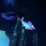 阿芽的海底世界