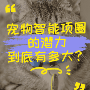 宠物智能项圈的潜力到底有多大？