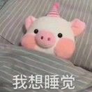 西西_5YSU