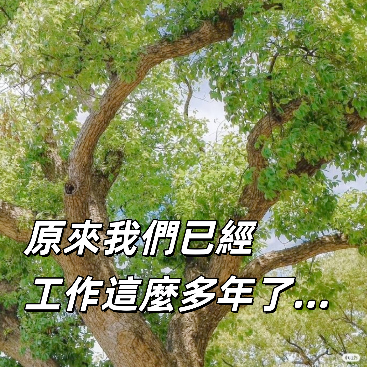 原来我们已经工作这么多年了 | 深夜电话06-不眠夜 episode artwork