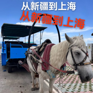 008期-喀拉峻从创业到互相网大厂的职业之路 🌟