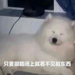 你让我听我就听