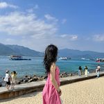 山茶与月亮