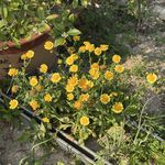 顺风顺水顺财运