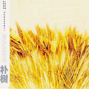 14岁的你在听谁的歌？（内地版）