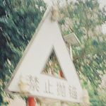 桥瞧瞧