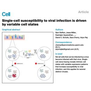289-The TIG1 Primes Cells for SARS-CoV-2 Infection
