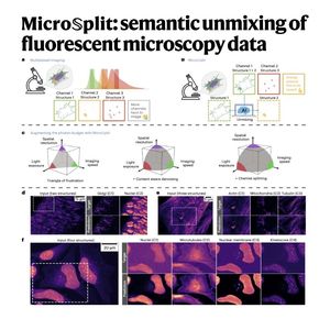 1015-MicroSplit enables computational multiplexing