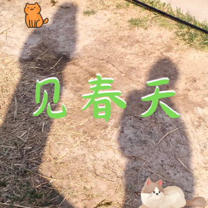 见春天