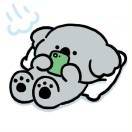 终有时_wtQR