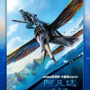 2022年12月国内院线公映电影回顾