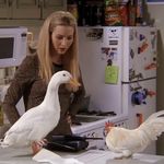 quckquck