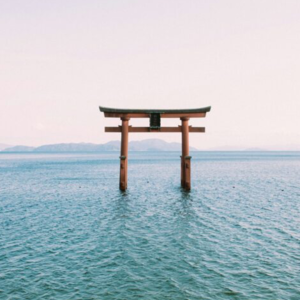 Ep46:Unpacking Japan's Economic Crossroads