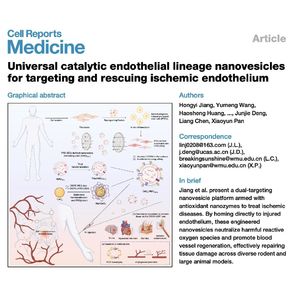 1644-Endothelial Nanovesicles for Targeted Ischemic Rescue