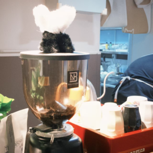 我反复咀嚼着得过且过的生活