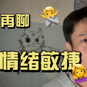 再聊情绪敏捷