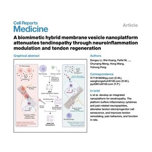 1648-Nanoplatform for Tendinopathy Treatment