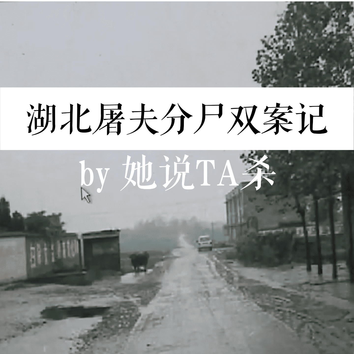 18. “心律不齐”：湖北屠夫分尸双案记 episode artwork