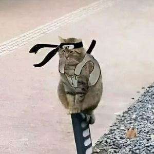 第9期：终于购入了新的生产工具（新电脑）！