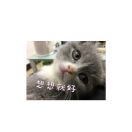 夏至韩子洲