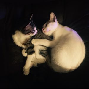 podcaster-avatar
