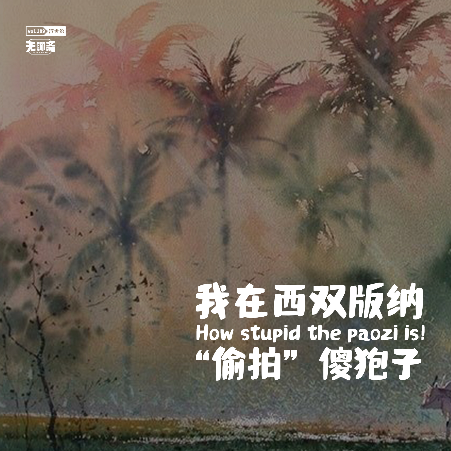 vol.189 我在西双版纳“偷拍”傻狍子