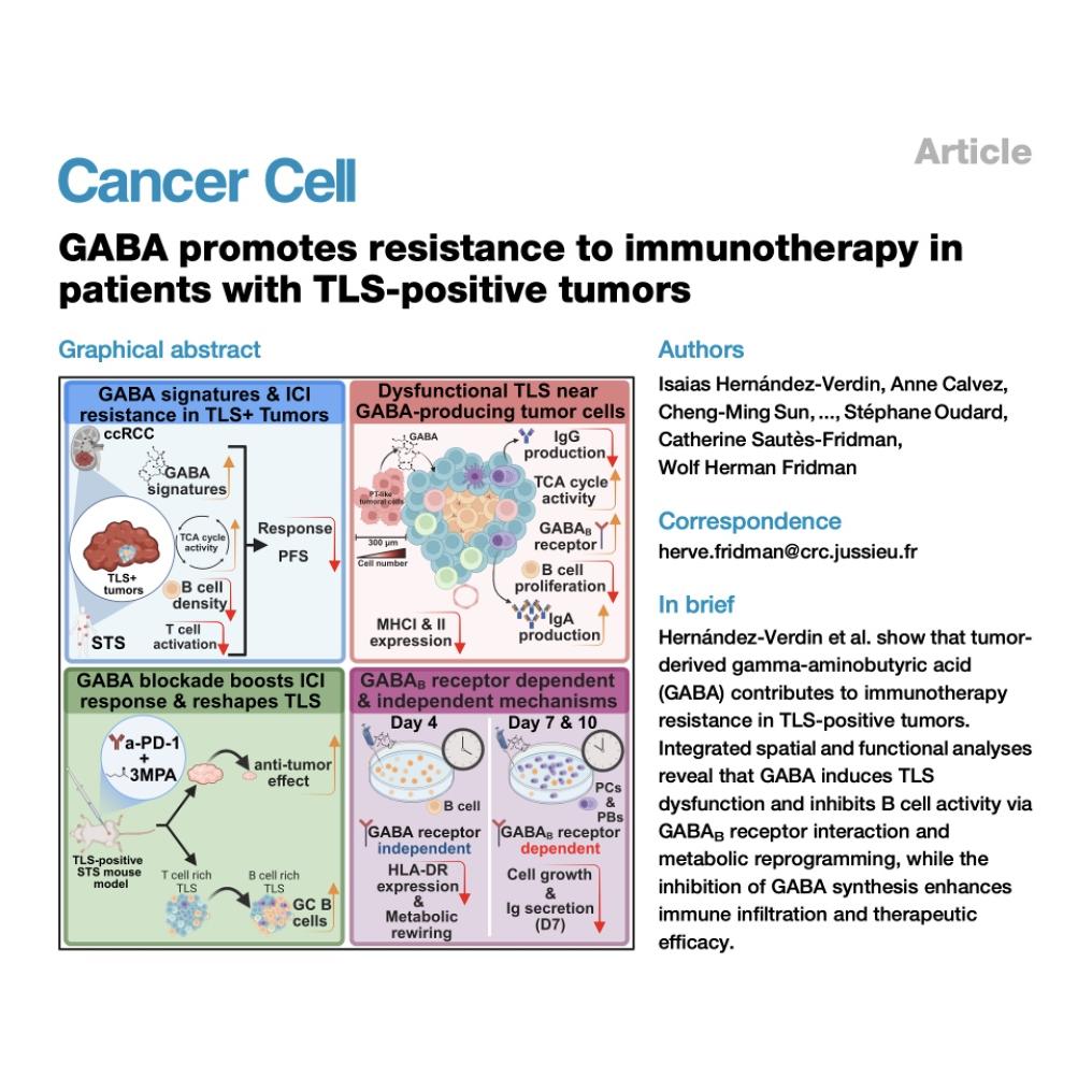 1358-GABA-Driven Immunotherapy Resistance in Tumors episode artwork