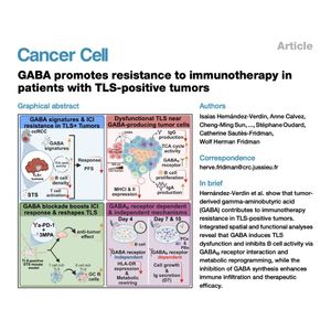 1358-GABA-Driven Immunotherapy Resistance in Tumors