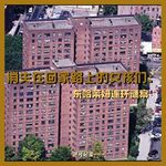 05.消失在回家路上的女孩们：东哈莱姆连环谜案