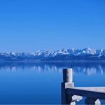 将军街赶路的葵花