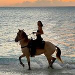 薏米做事薏米汤