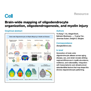 575-全脑少突胶质细胞与髓鞘发育图谱