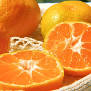 VOL442.上帝为了补偿人间诸般烦恼事，给了我们希望和睡眠。