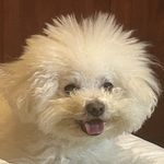亲亲王嘉尔的小脸蛋