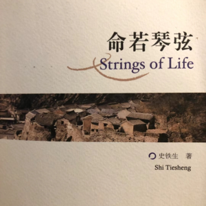 《命若琴弦》三丨命运如琴弦，如何奏响生命的意义